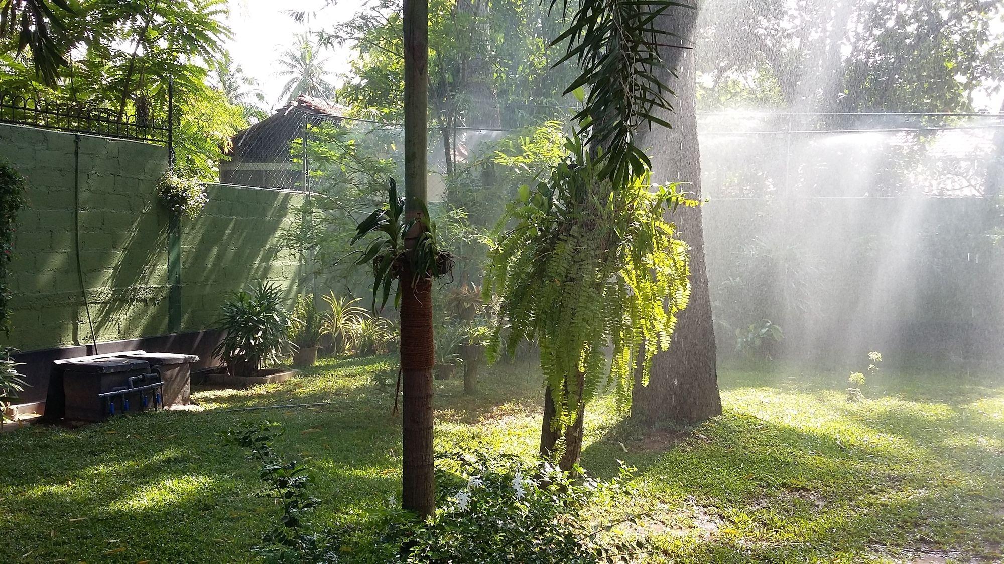 West Dene Bed & Breakfast Negombo Ngoại thất bức ảnh