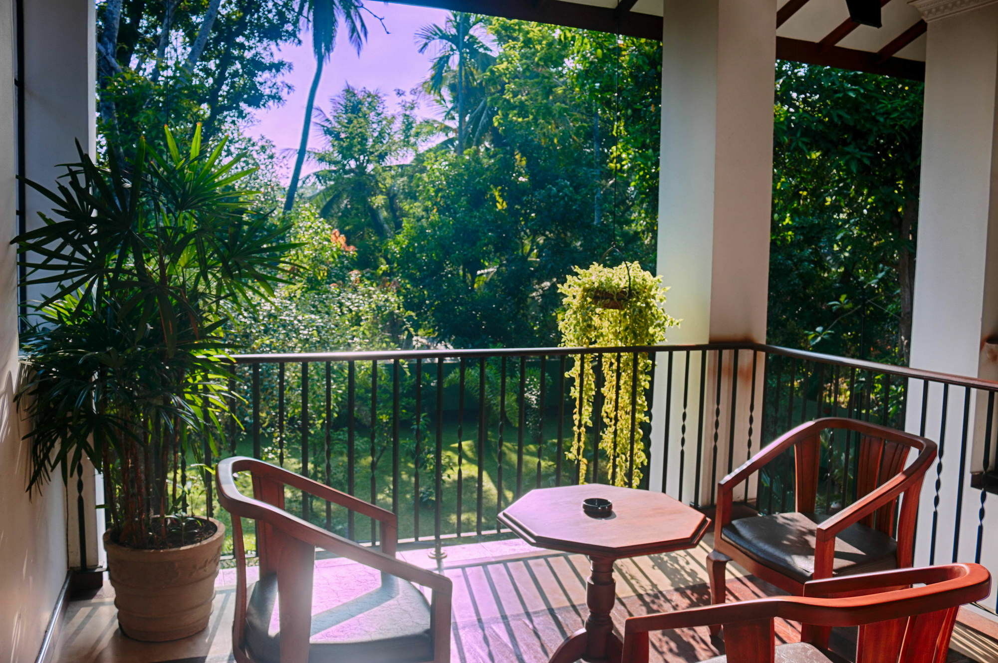 West Dene Bed & Breakfast Negombo Ngoại thất bức ảnh