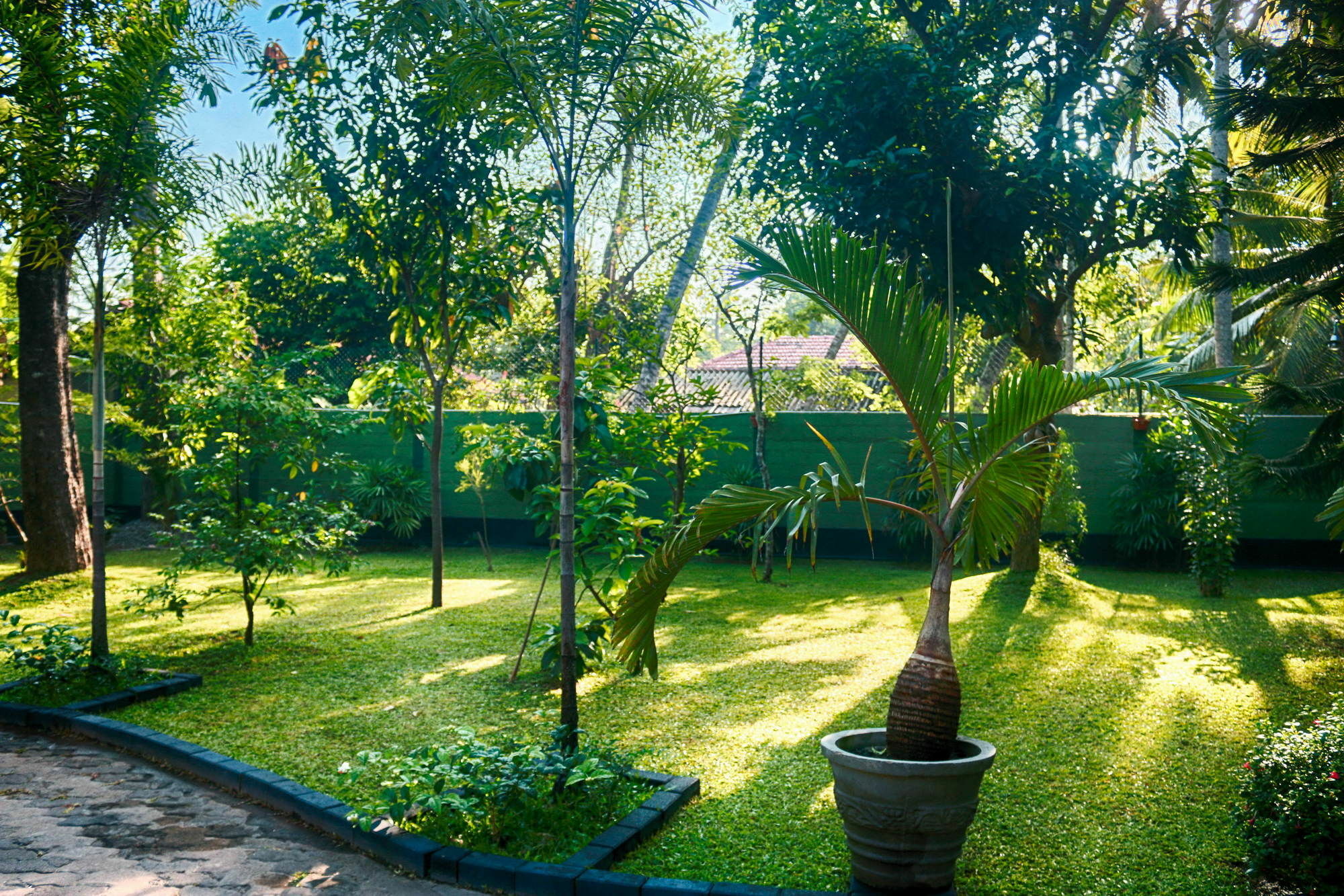 West Dene Bed & Breakfast Negombo Ngoại thất bức ảnh